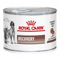 Royal Canin Recovery Лечебные консервы для собак и кошек